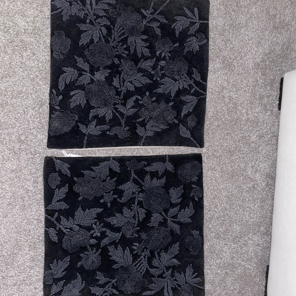 Pottery Barn Florence Embroidered Pillow Shams